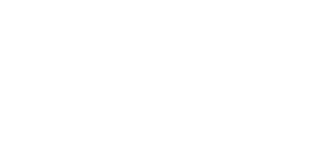 logo brut ibiza real estate wit zonder icon